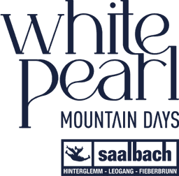 WPMDays Logo
